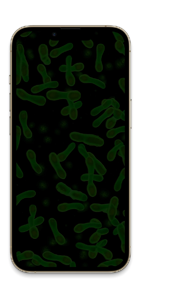 Avant la protection XFORCE Antibactérien !